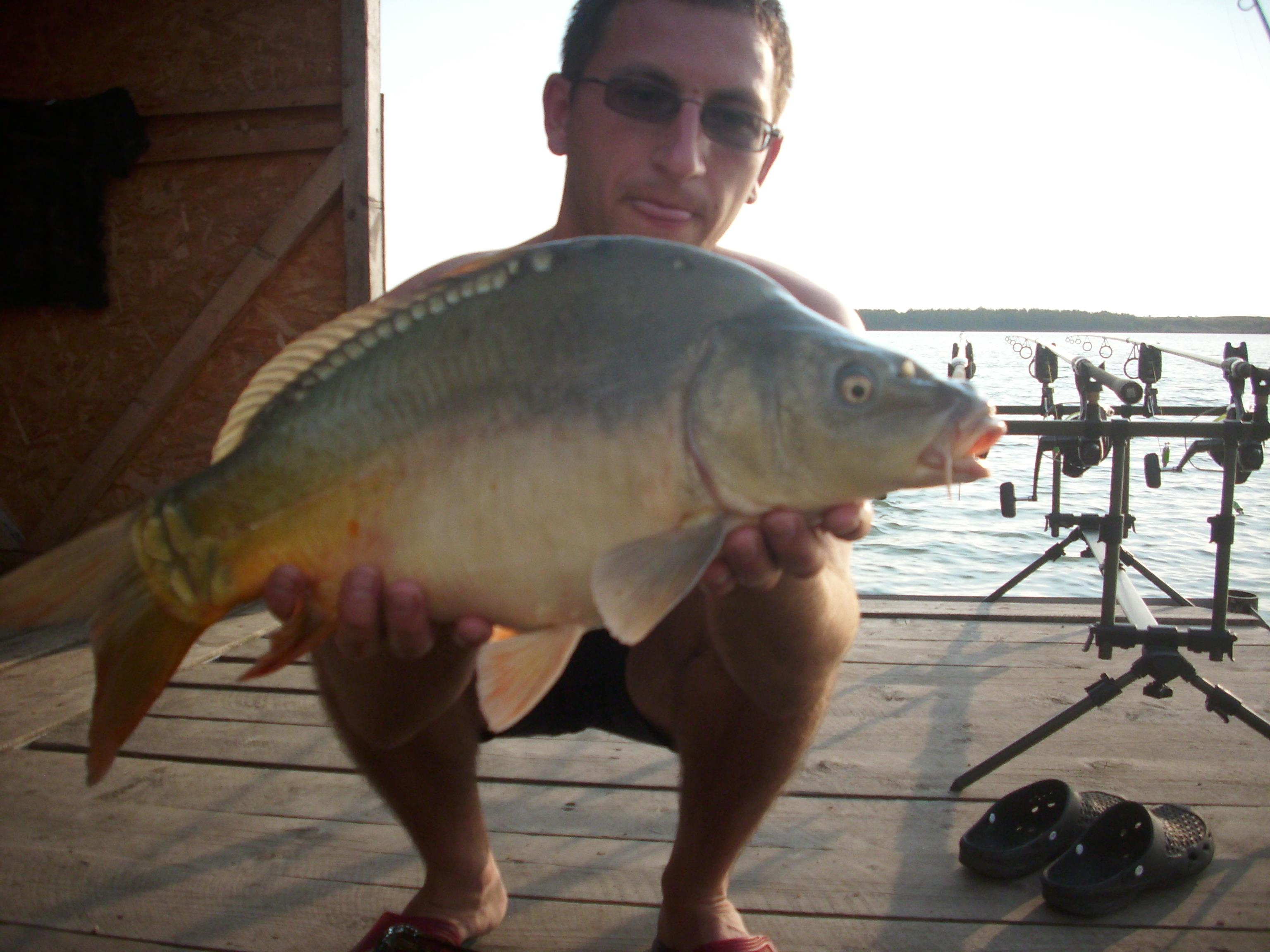 poze bunget  - IMG_0187.JPG